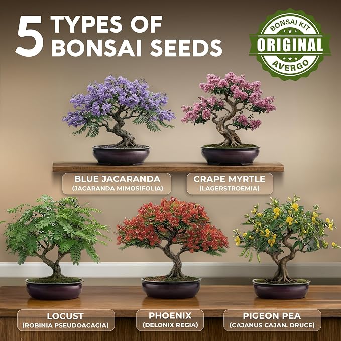 Bonsai Tree Kit Deluxe + Growing Light - Image 3