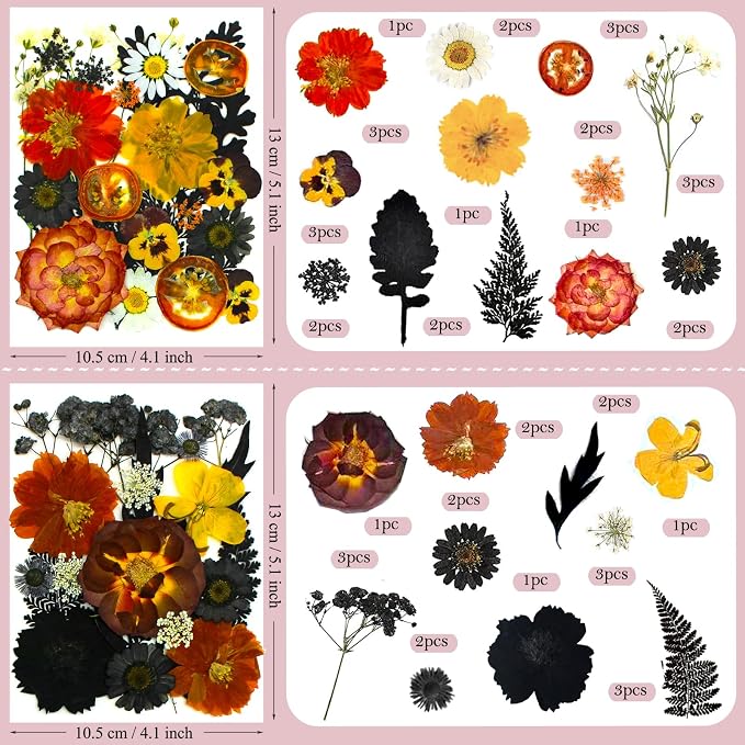 92 Pcs Dried Pressed Flowers Fruits - Image 6