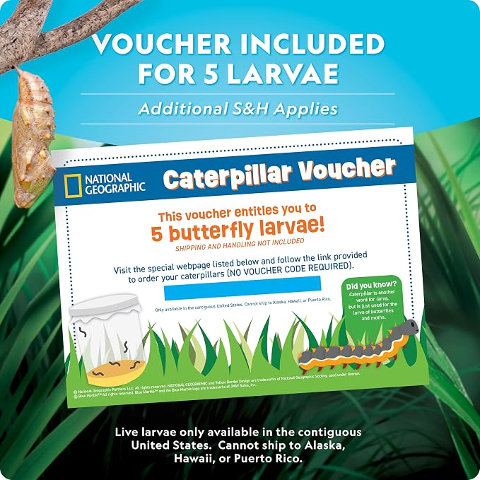 National Geographic Butterfly Growing & Bug Catcher Kit - Image 3