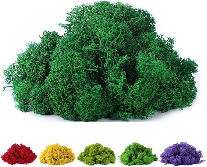 Fake Moss Preserved Reindeer Moss 3.5 OZ by DAZUINIAO