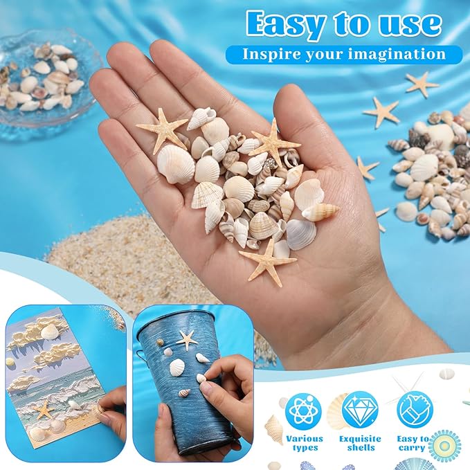 1200 Pcs Tiny Sea Shells, Seashells - Image 5