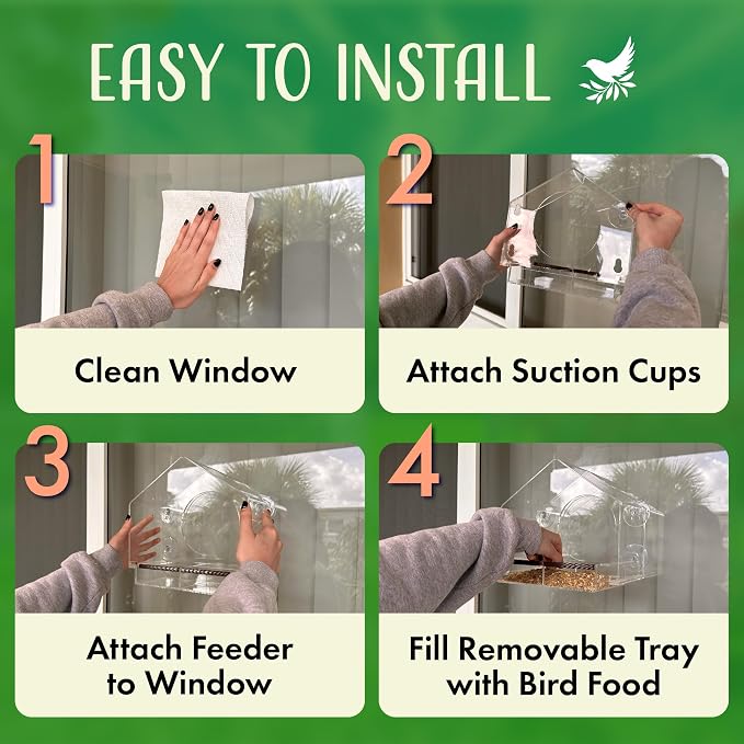 Clear Bird Feeders for Window Viewing Inside - Image 6