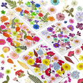 150 Pcs Pressed Flowers Bulk Dried Flower by CONVELIFE