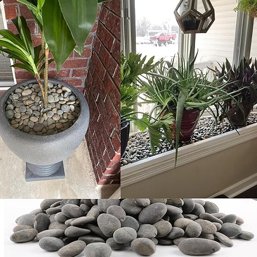 18 Pounds Natural River Rocks Mexican Beach Pebbles - Image 2