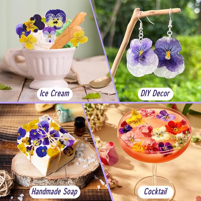 40 Pcs 8 Kinds Natural Dried Pressed Edible Flowers - Image 4