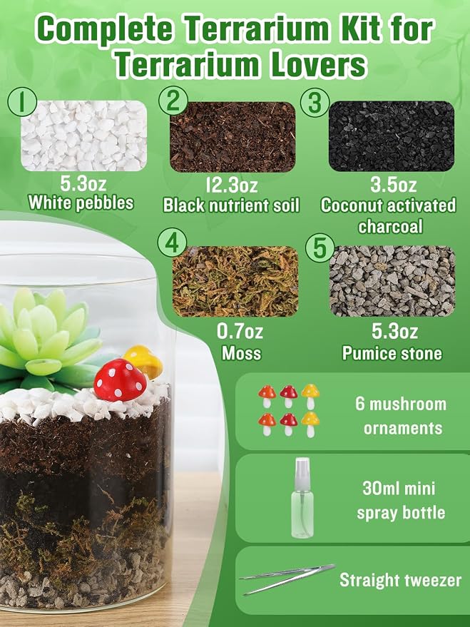 Terrarium Kit Adults - Image 3