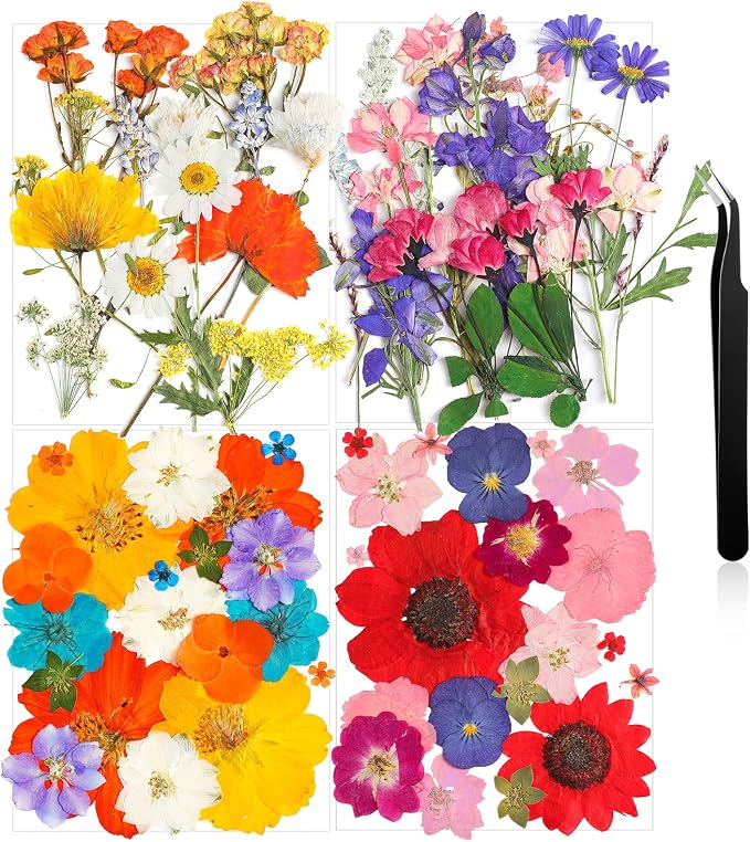 Nuanchu Pressed Flowers Bulk Dried Flower by Nuanchu