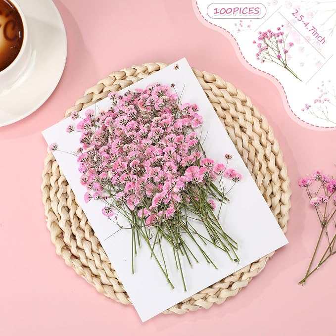 Tinideya 100 Pcs Dried Babys Breath Flowers Bulk Babys Breath Real Pressed - Image 2