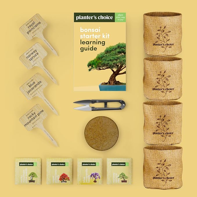 Planter's Choice Bonsai Tree Kit - Image 4