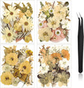 Nuanchu Dried Pressed Flowers for Soap Making Boho Dried Flower Resin Crafts by Nuanchu
