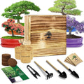 Bonsai Tree Starter Kit for Beginners by LUOJIBIE