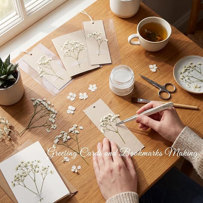 48 Pcs Natural Dried Pressed Mini Baby's Breath Flowers - Image 5
