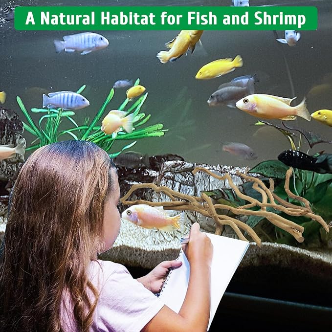 kathson Natural Driftwood for Aquarium - Image 8