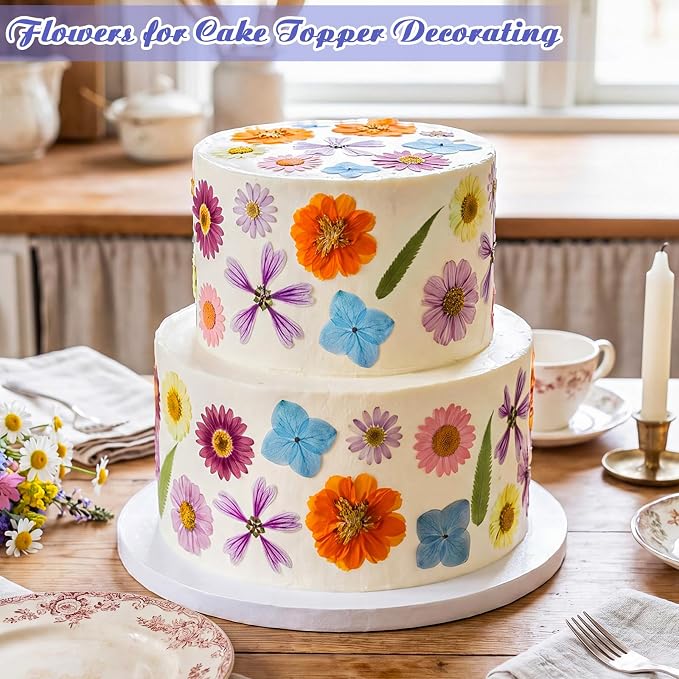 96 Pcs Natural Dried Pressed Flowers - Image 2