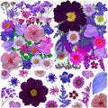 MIKIYA 54Pcs Purple Pressed Dried Flowers by MIKIYA