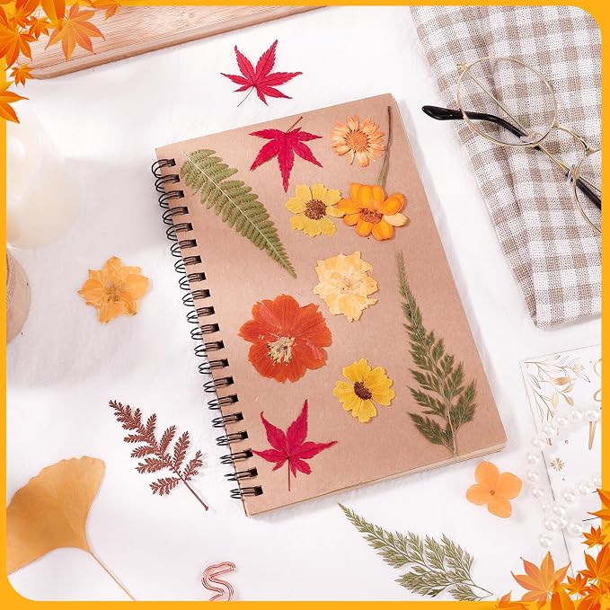 100 Pcs Fall Dried Pressed Flowers, Real Orange Dried Wildflowers Leave - Image 3