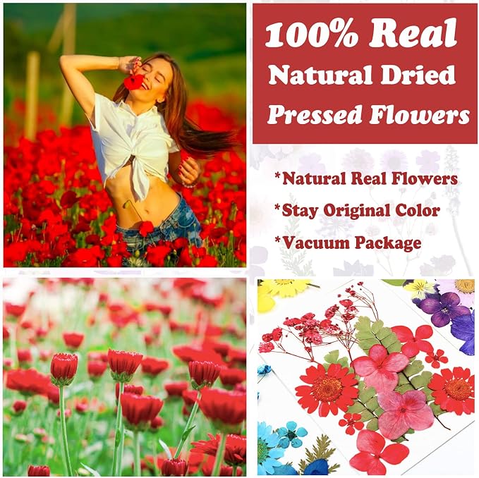 75 Pcs Red Dried Flowers Real Natural Pressed Leave Petals - Image 2