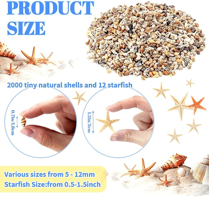 WEOXPR 2000 Pcs Tiny Sea Shells & Starfish - Image 2