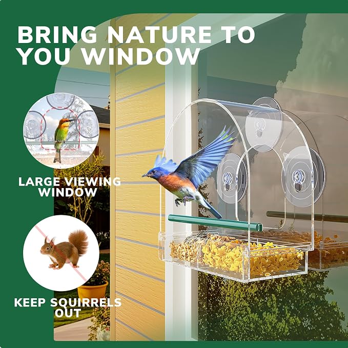 SUNALLY Window Bird Feeder for Outdoors, Fummingbird Feeder for Viewing Inside - Image 5