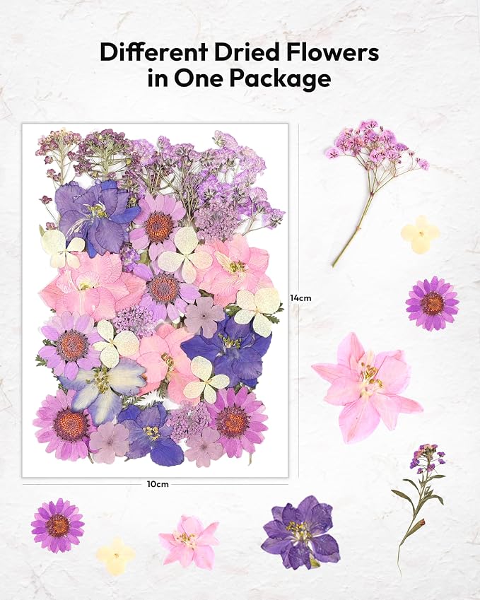 Dried Flowers, Resiners 58Pcs Pressed Flowers - Image 2