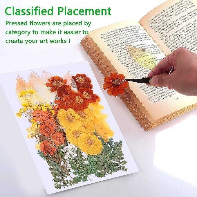 100 PCS Real Dried Pressed Flowers Leaves Natural Plant Herbarium - Image 4