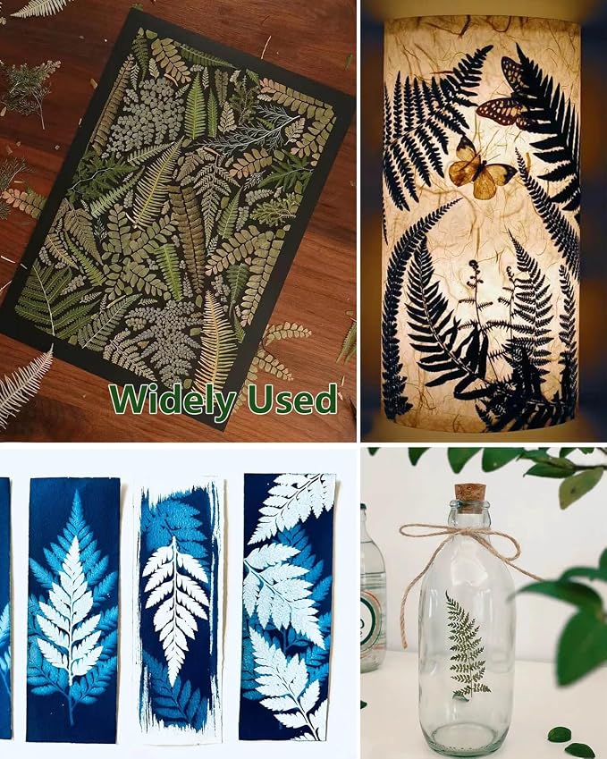48 Pcs Mix Natural Dried Pressed Ferns - Image 6