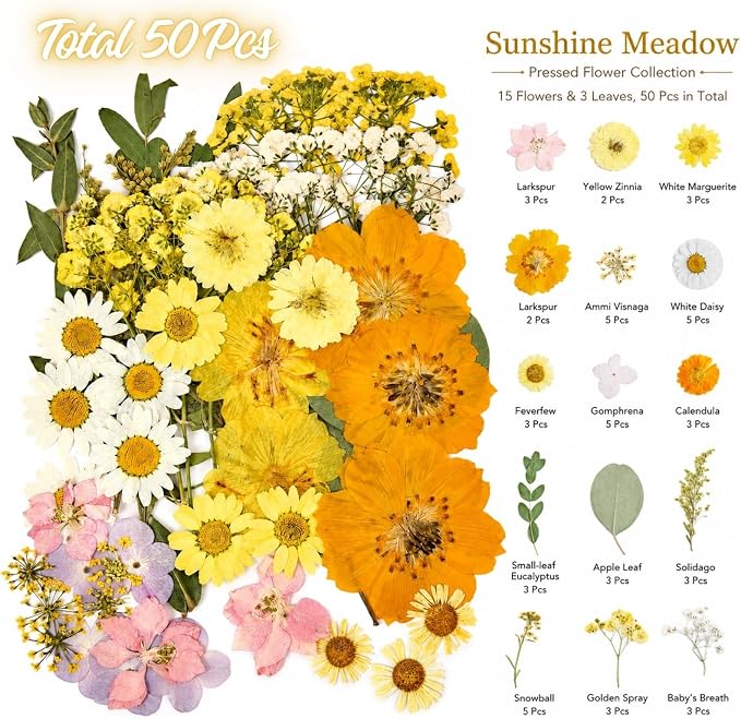 Dried Pressed Flowers for Resin, Scrapbooking, Soap Candle Making, DIY - Image 2