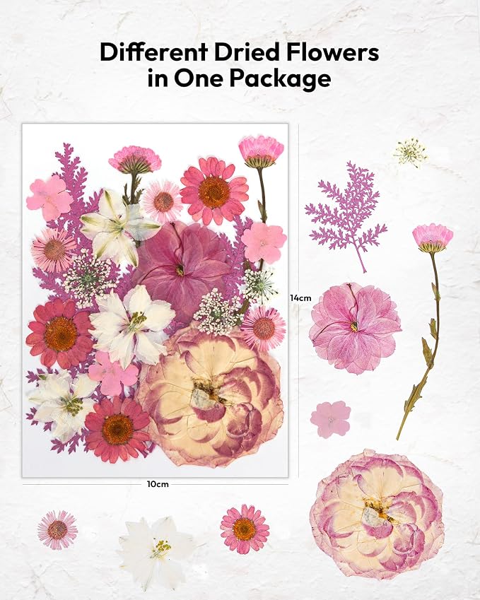 Dried Flowers, Resiners 100Pcs Pressed Flowers - Image 4