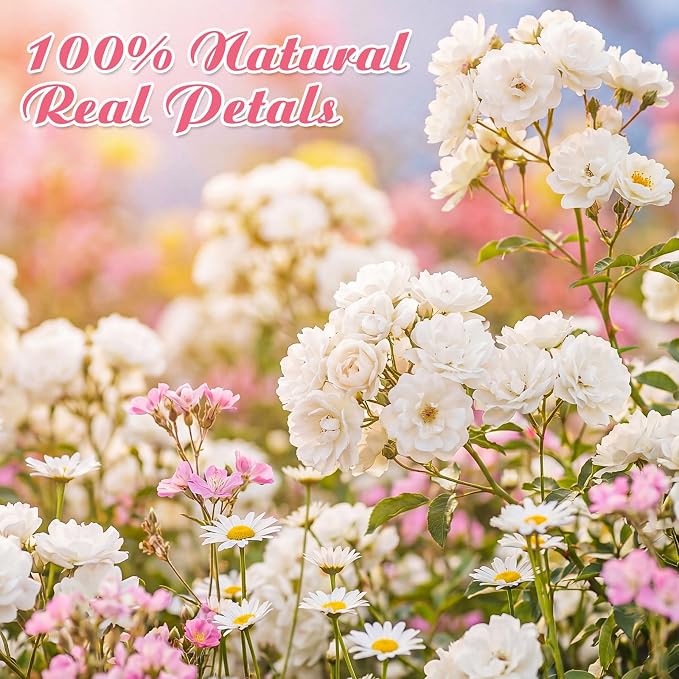 96 Pcs Natural Dried Pressed Flowers - Image 3