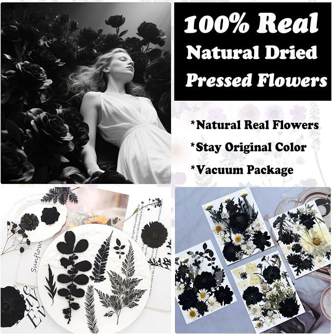 90Pcs Black Pressed Dried Flowers - Image 2