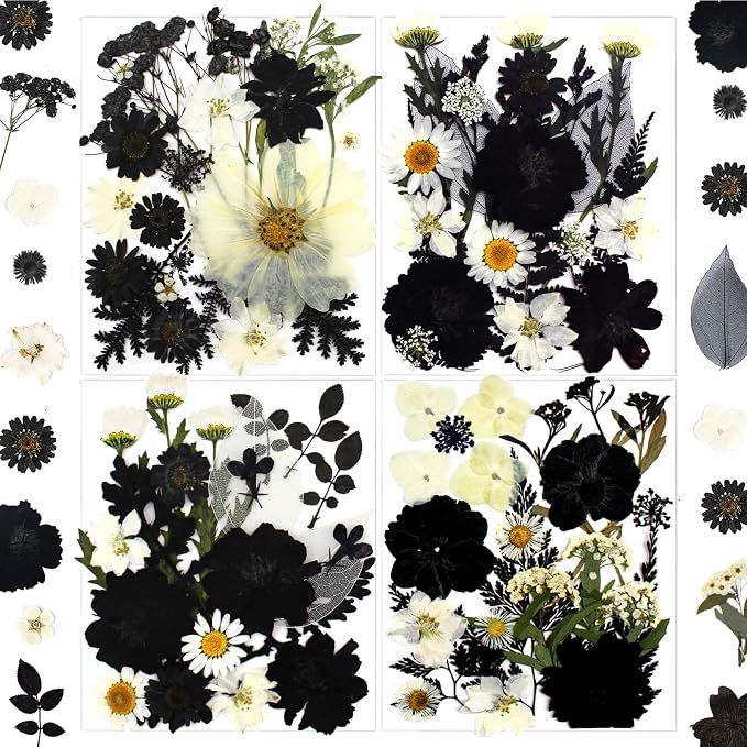 90Pcs Black Pressed Dried Flowers by LUCISKY