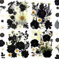 90Pcs Black Pressed Dried Flowers by LUCISKY