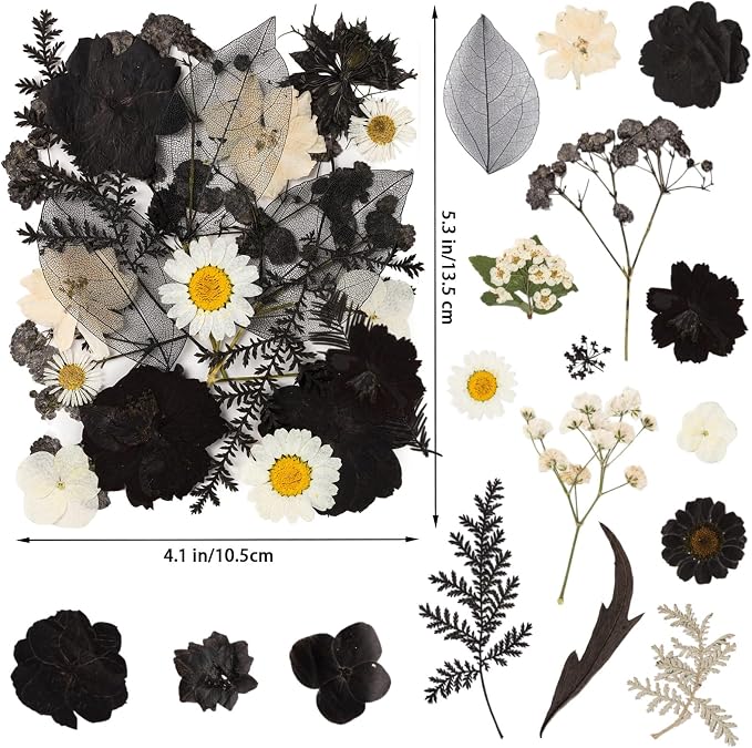 78 Pcs Black and White Dried Pressed Flowers - Image 2