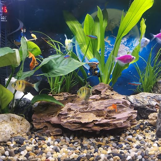 10LB Aquarium Gravel, 1/4" Pea Gravel - Image 3