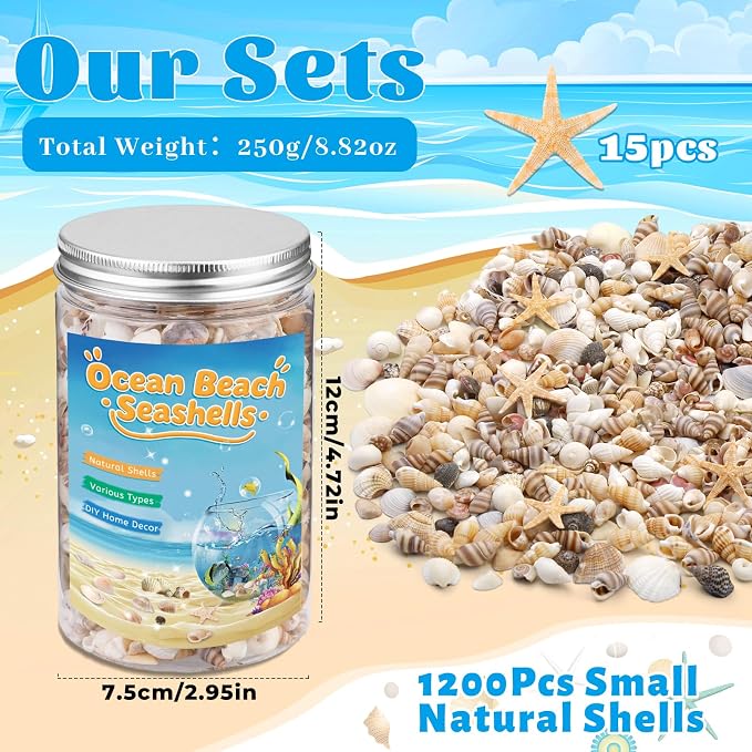 1200 Pcs Tiny Sea Shells, Seashells - Image 2