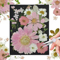 Pink Dried Pressed Flowers, Real Nature Flowers by CONVELIFE