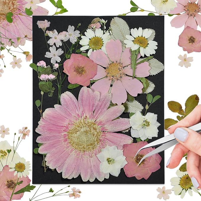 Pink Dried Pressed Flowers, Real Nature Flowers by CONVELIFE