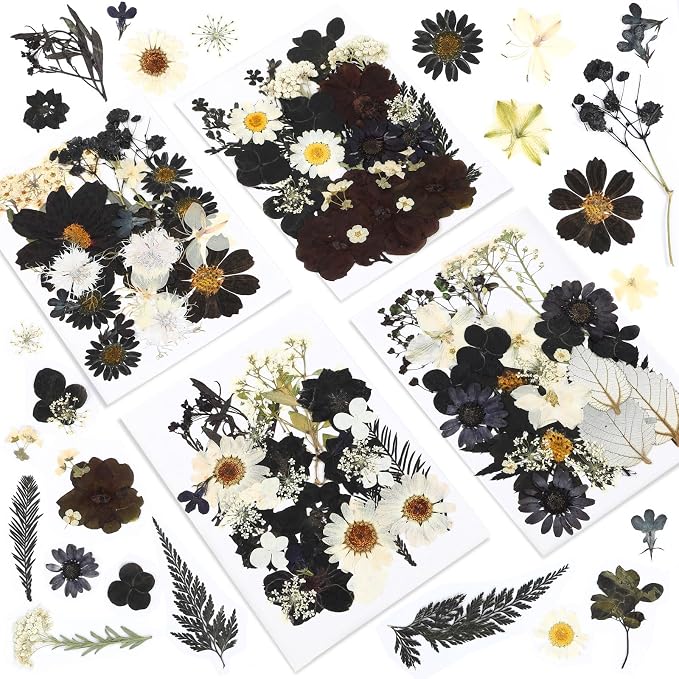 Augshy Black Dried Pressed Flowers, Scrapbooking, Soap Making by Augshy