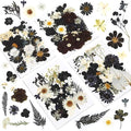Augshy Black Dried Pressed Flowers, Scrapbooking, Soap Making by Augshy