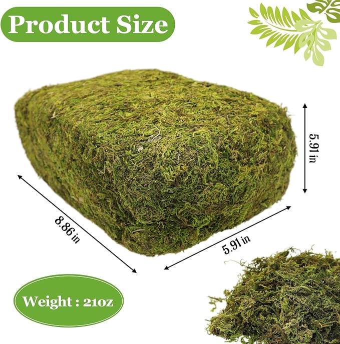 Riare 1.3LB Natural Moss Artificial Fake Moss Alternative - Image 2