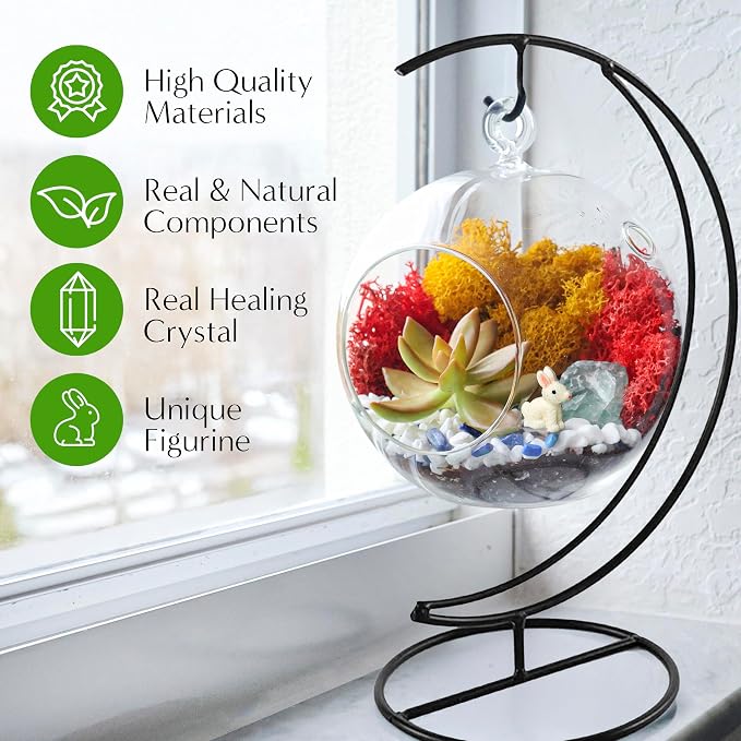 Creations by Nathalie DIY 5" DIY Globe Terrarium Kit - Image 4