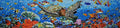 Aquatic Ocean Mosaic Scene by Mozaico