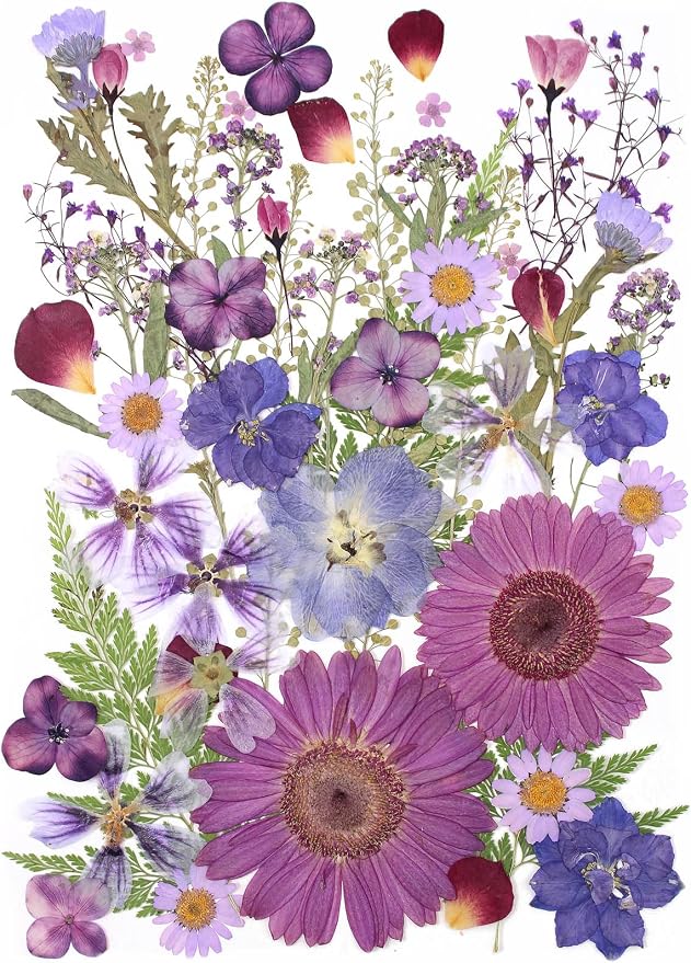 12“ Large Bulk Dried Pressed Flowers by ZMRU