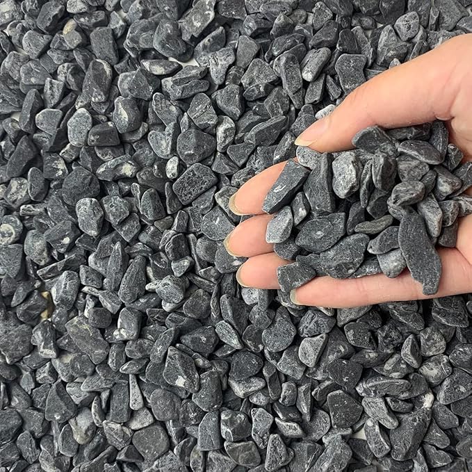 FANTIAN 5lbs Black Pea Gravel, 3/8 Inch Decorative Pebbles Succulent Rocks by FANTIAN-GardeningMakesLifeBetter