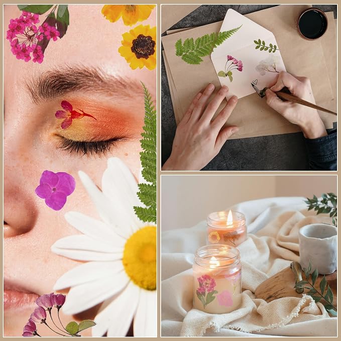 Dried Flowers | 72pcs Natural Pressed Flowers and Leaves - Image 6