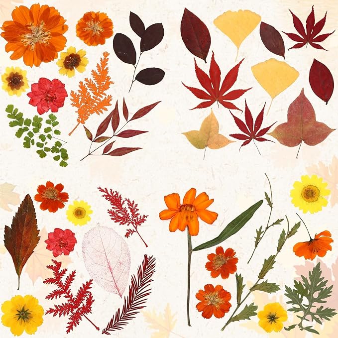 Augshy Fall Dried Pressed Flowers Orange Pressed Fall Leaves - Image 3