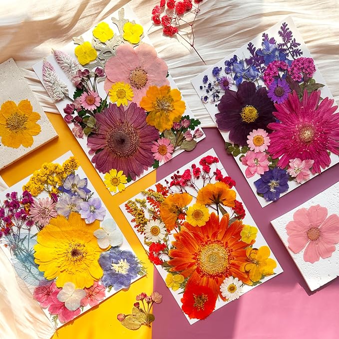90Pcs Big Dried Pressed Flowers - Image 3
