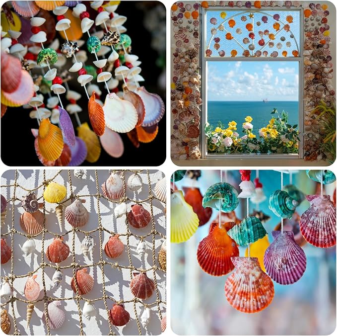 Lanwexy 25PCS Sea Shells Scallop Shells Natural White Sea Shells - Image 2