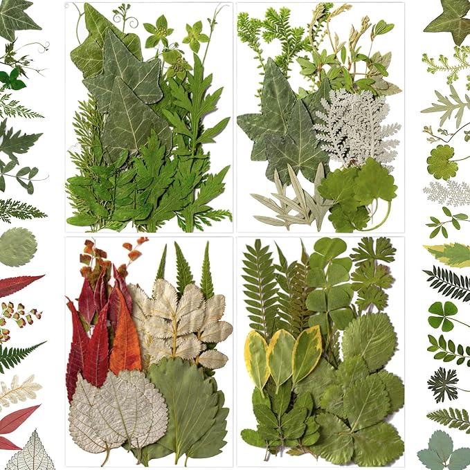 84 Pcs Dried Leaves Pressed Flowers by LUCISKY