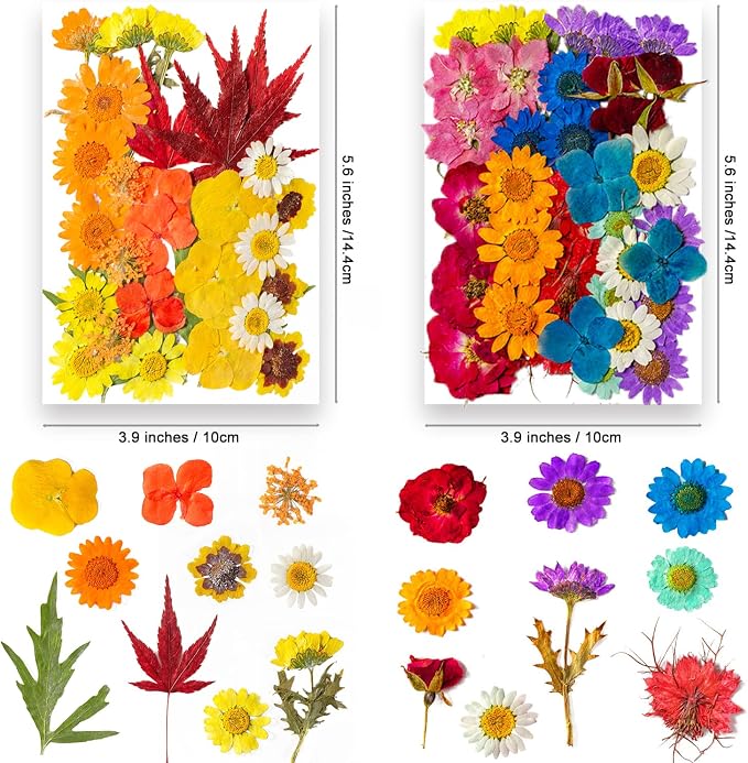 191PCS Real Nature Dried Pressed Flowers - Image 3
